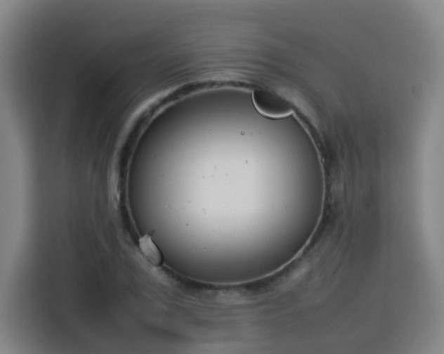 X0000113760979200909301106