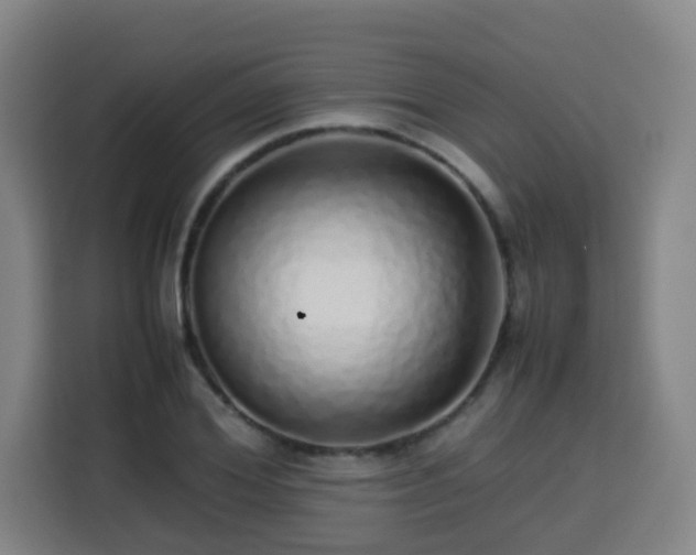 X0000113760980200909301106