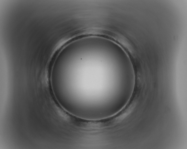 X0000113760981200909301106