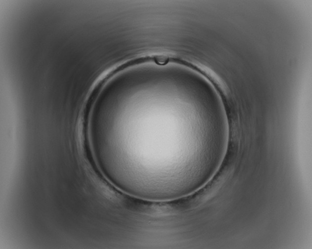 X0000113760983200909301106