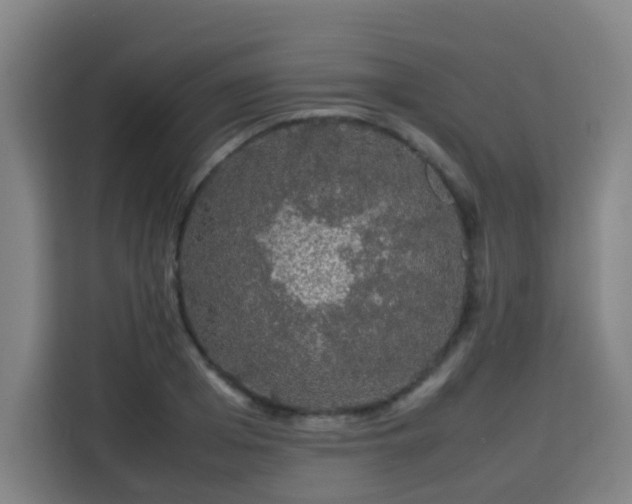 X0000113760985200909301106