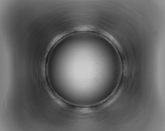 X0000113760986200909301106