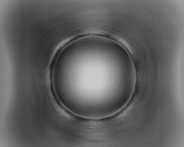 X0000113760987200909301106