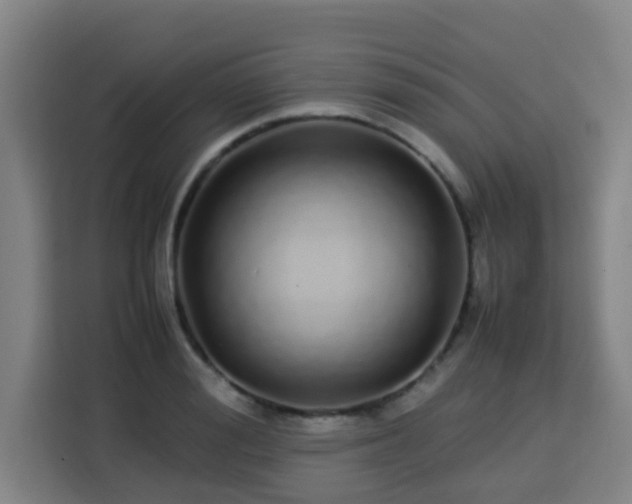 X0000113760988200909301106
