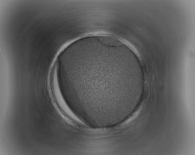 X0000113760989200909301106