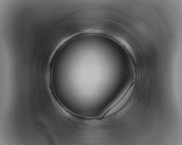 X0000113760992200909301106