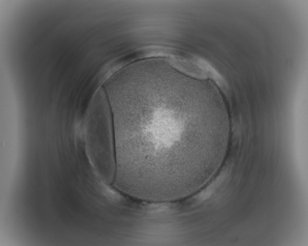 X0000113760993200909301106