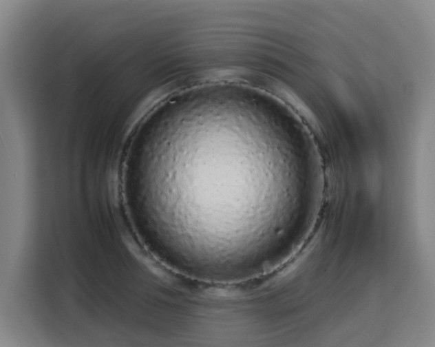 X0000113760994200909301106