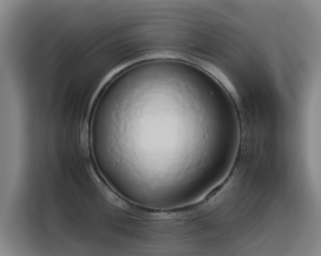 X0000113760996200909301106