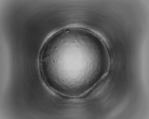 X0000113760998200909301106