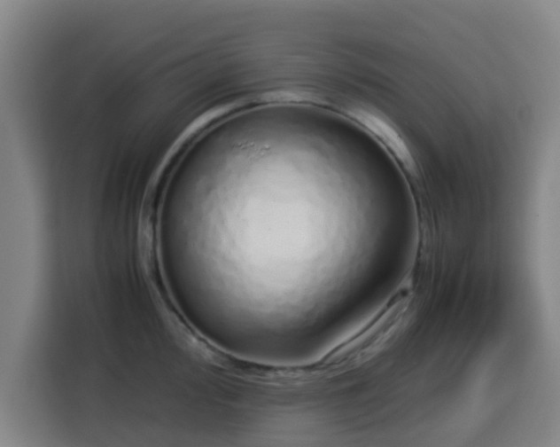 X0000113761000200909301106
