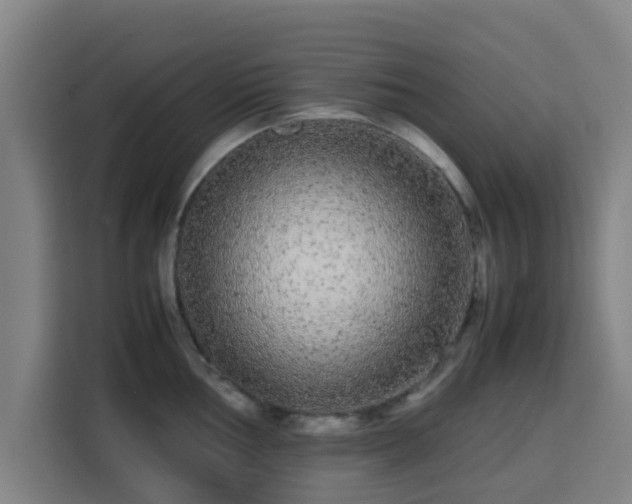 X0000113761002200909301106