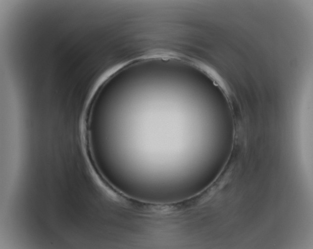 X0000113761003200909301106