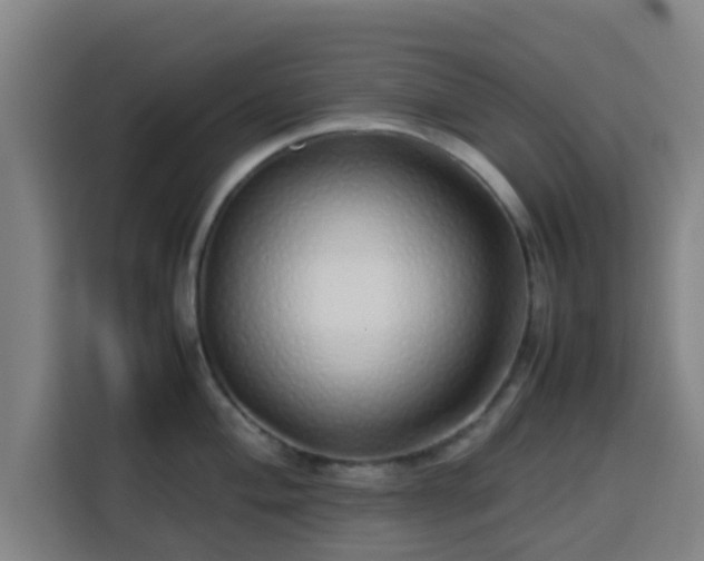 X0000113761004200909301105