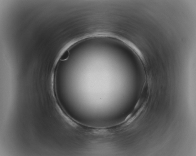 X0000113761006200909301105