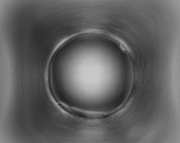 X0000113761007200909301105