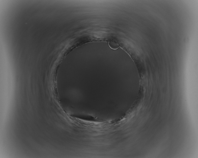 X0000113761009200909301105