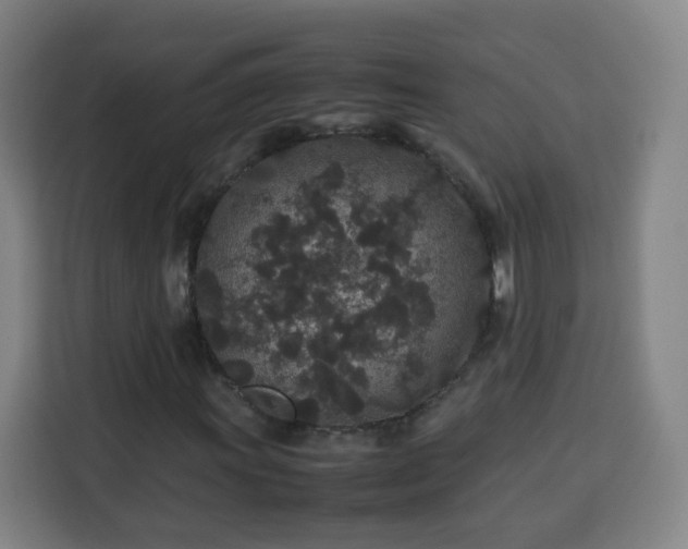 X0000113761011200909301105