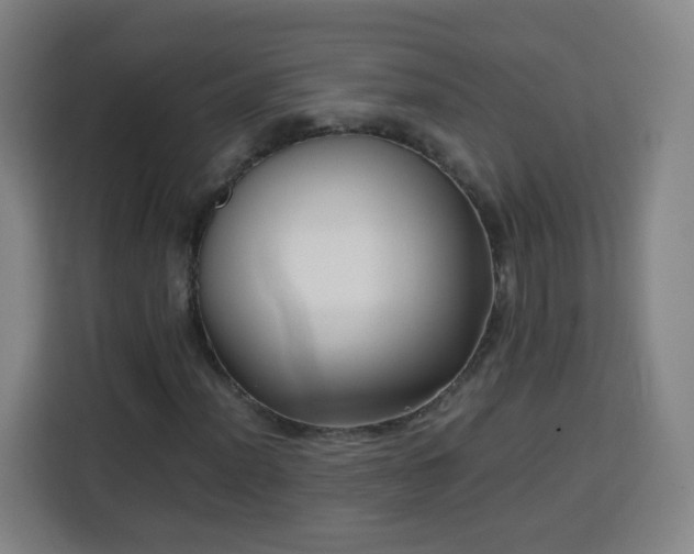 X0000113761012200909301105