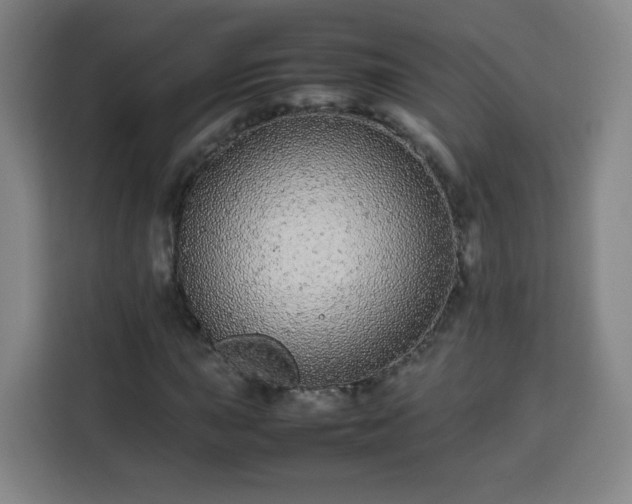X0000113761015200909301105