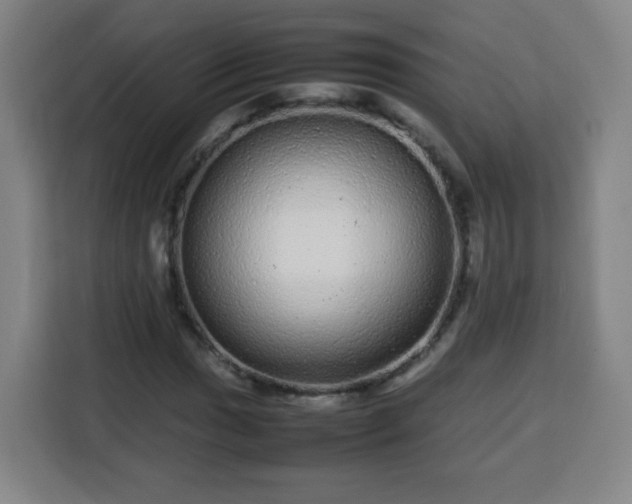 X0000113761017200909301105