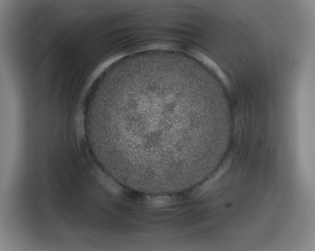 X0000113761019200909301105