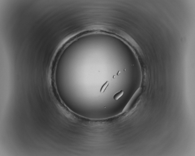 X0000113761020200909301105