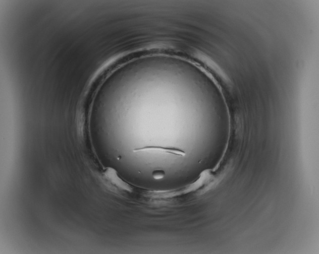 X0000113761021200909301105