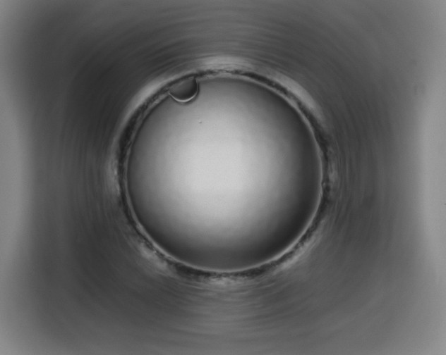 X0000113761022200909301105