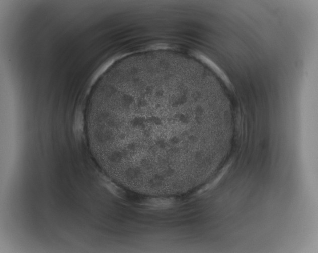 X0000113761023200909301105