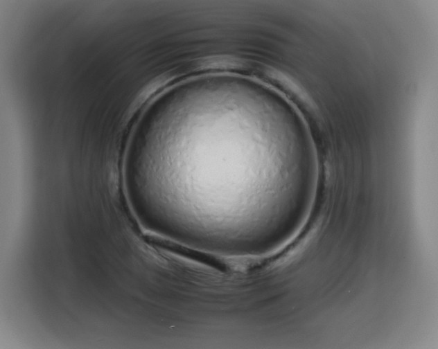 X0000113761025200909301105