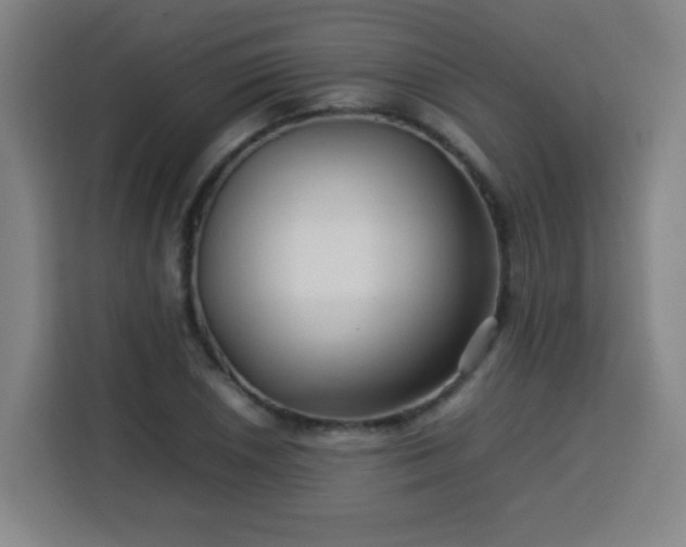 X0000113761026200909301105