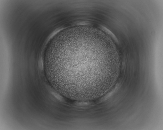 X0000113761027200909301105