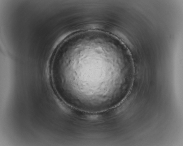X0000113761031200909301105