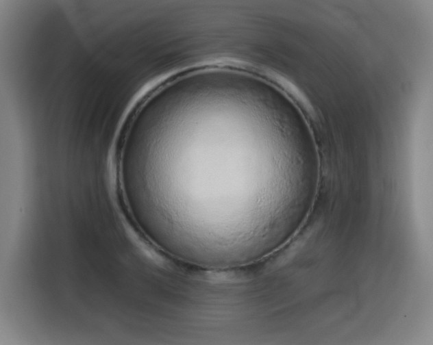 X0000113761032200909301105