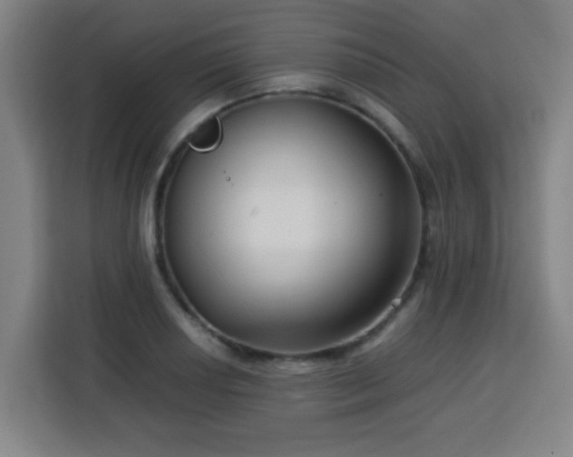X0000113761034200909301105