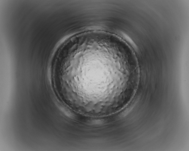 X0000113761035200909301105