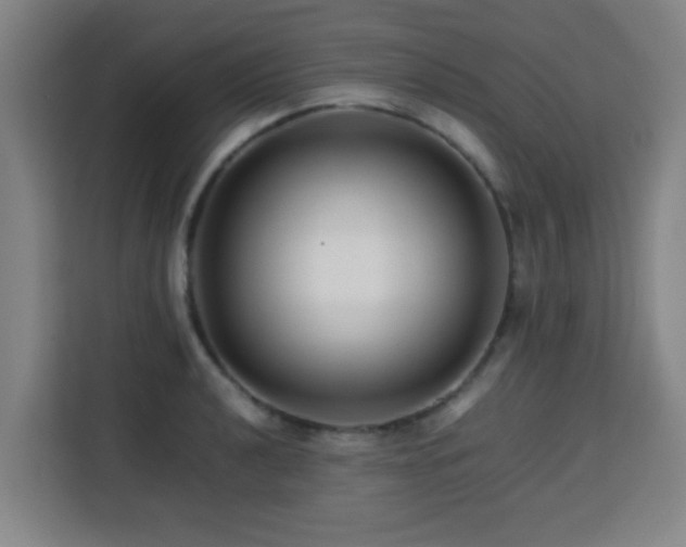 X0000113761040200909301105