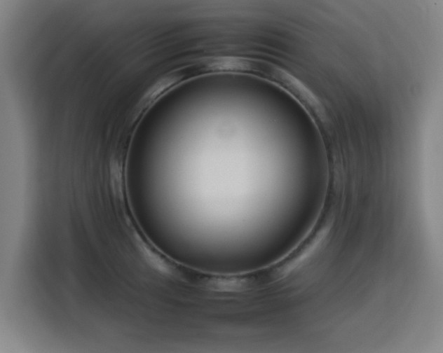 X0000113761041200909301105