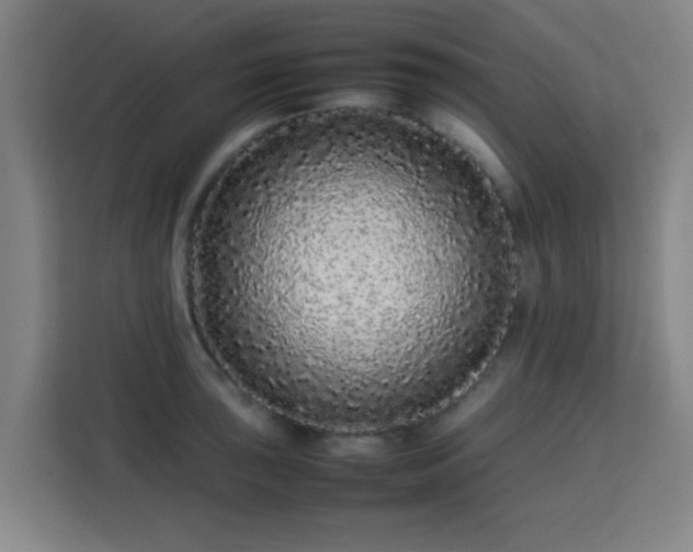 X0000113761043200909301105