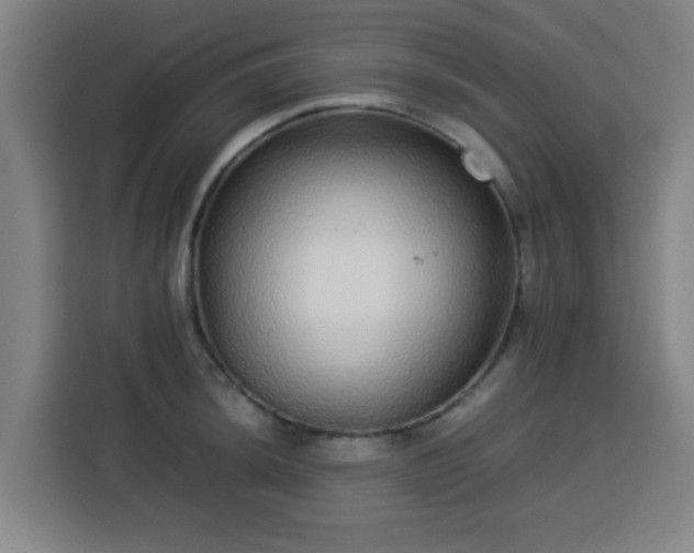 X0000113761044200909301105