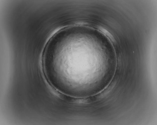 X0000113761047200909301105