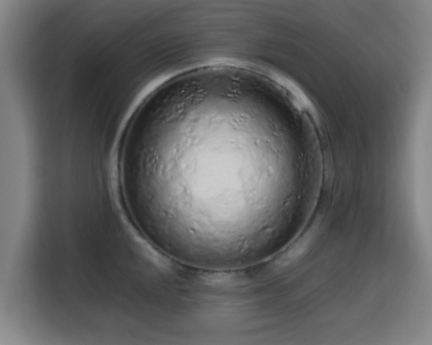 X0000113761048200909301105