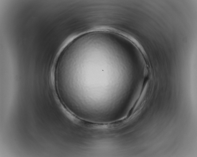 X0000113761054200909301105