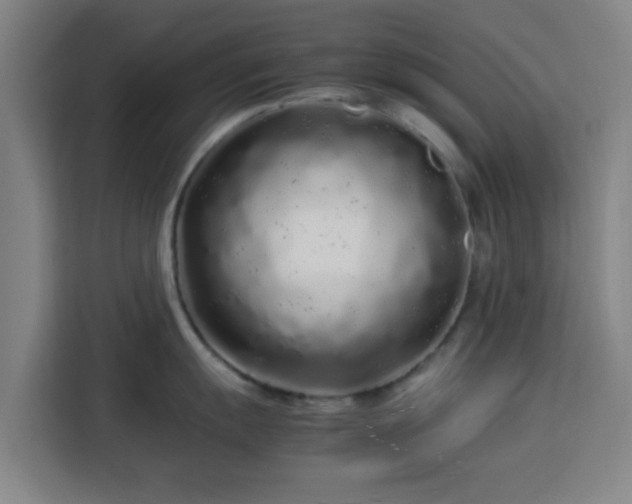 X0000113761055200909301105