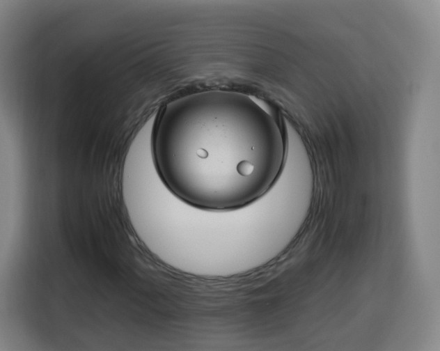X0000113761060200909301105