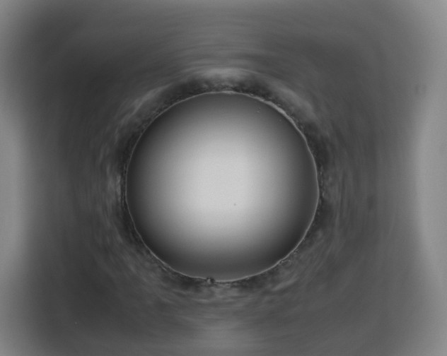 X0000113761061200909301105