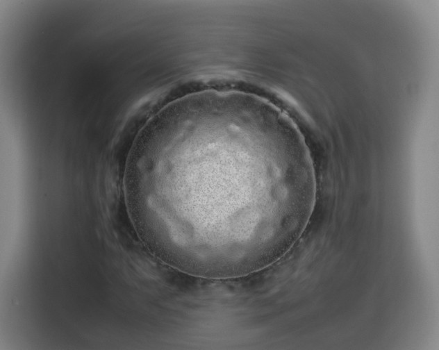 X0000113761063200909301105