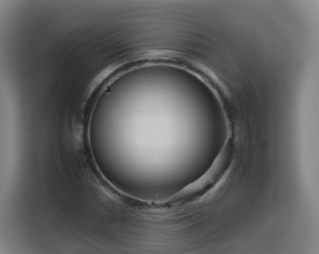 X0000113761066200909301105