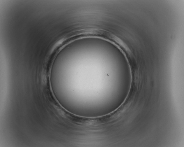X0000113761067200909301105